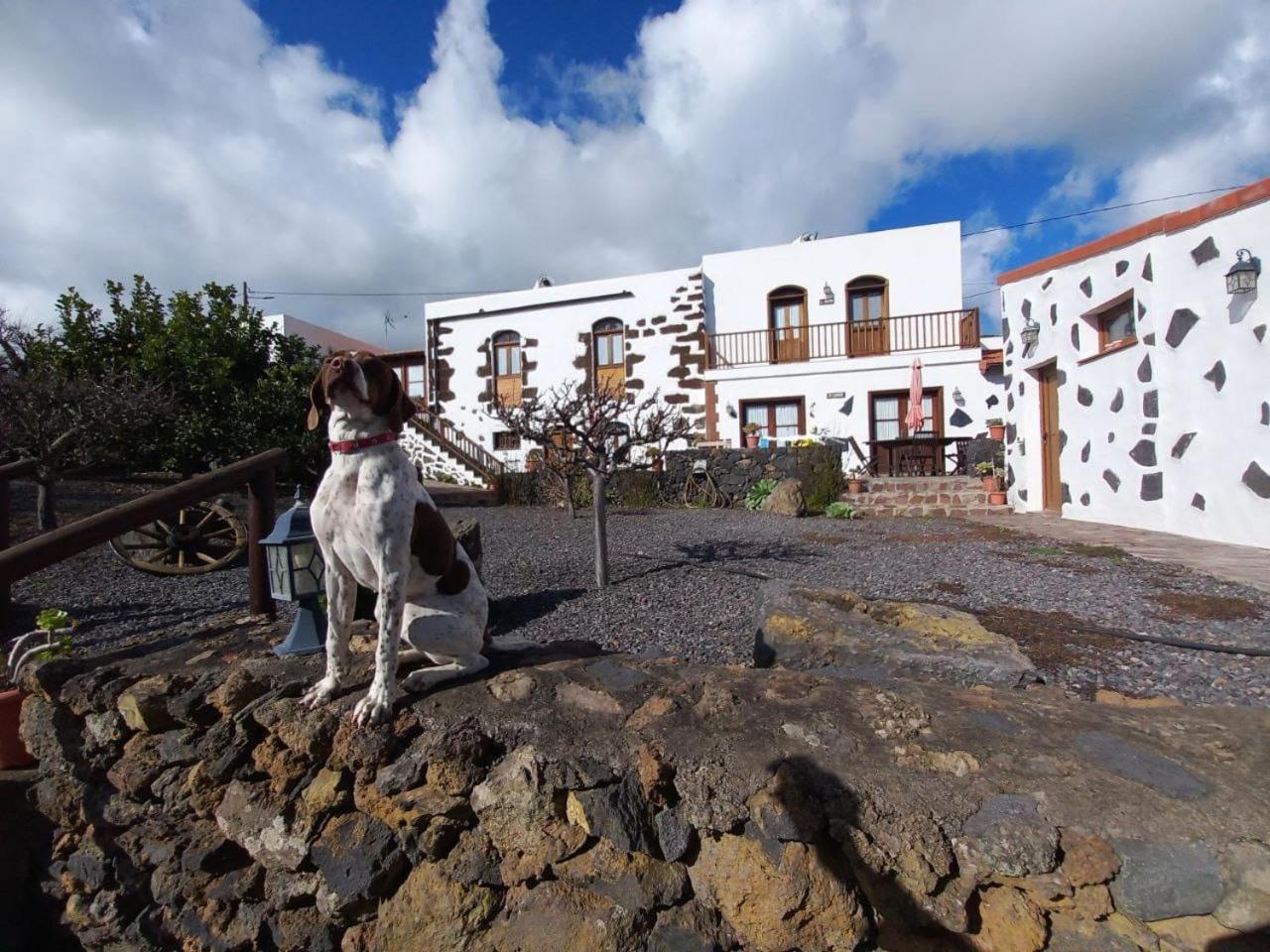 Las Casas Del Abuelito Julian & La Abuela Leonor Isora Kültér fotó